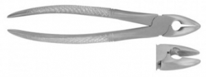 Extracting Forceps Universal, Upper, Central, Lateral Cuspid, Bicuspid